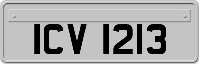 ICV1213