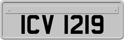ICV1219