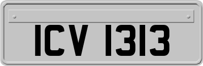 ICV1313