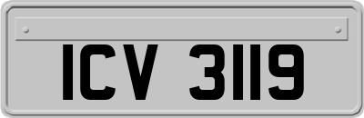 ICV3119