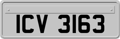 ICV3163