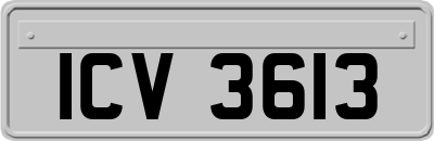 ICV3613