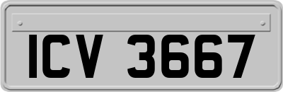 ICV3667