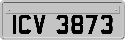 ICV3873