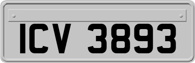 ICV3893
