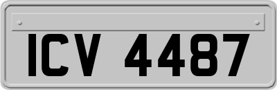 ICV4487