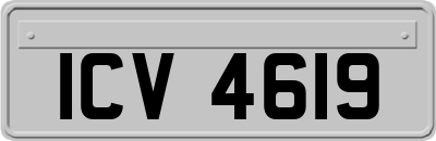 ICV4619
