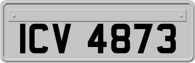 ICV4873