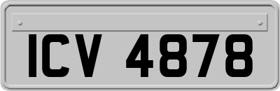 ICV4878