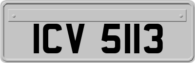 ICV5113