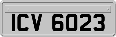 ICV6023