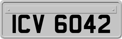 ICV6042