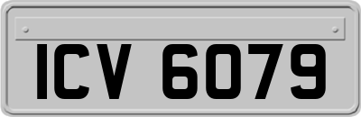 ICV6079