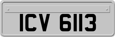 ICV6113
