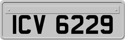ICV6229