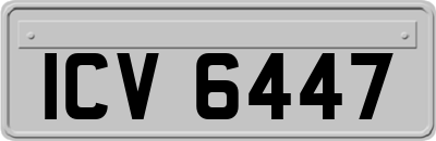 ICV6447