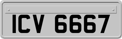 ICV6667