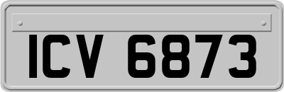 ICV6873