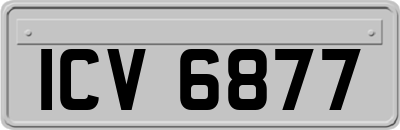 ICV6877
