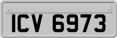 ICV6973