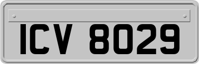 ICV8029