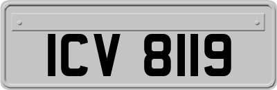 ICV8119