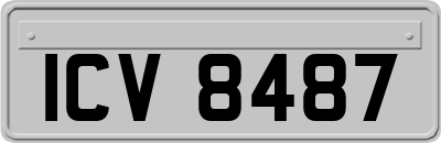ICV8487