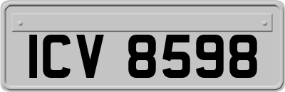 ICV8598