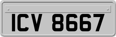ICV8667