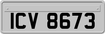 ICV8673