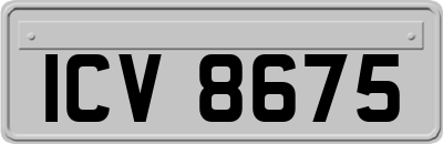 ICV8675