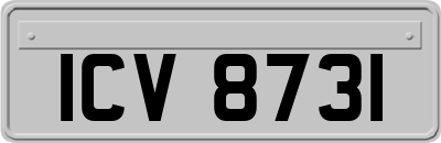 ICV8731