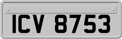 ICV8753
