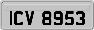 ICV8953