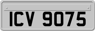 ICV9075
