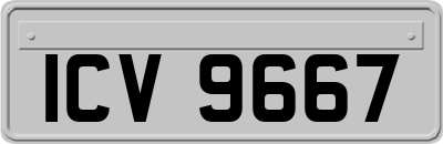 ICV9667