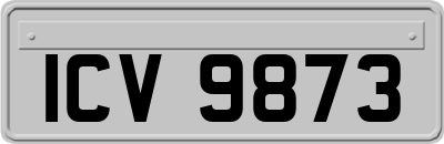 ICV9873