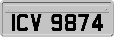 ICV9874