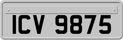 ICV9875