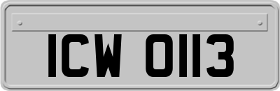 ICW0113