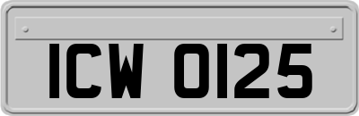 ICW0125