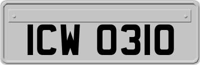 ICW0310