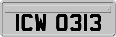 ICW0313