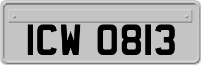 ICW0813
