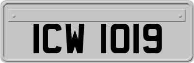 ICW1019