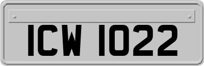 ICW1022