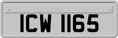 ICW1165