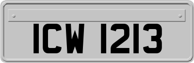 ICW1213