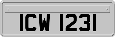 ICW1231