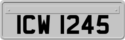 ICW1245